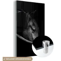 MuchoWow Glasschilderij - Foto op glas - Acrylglas - Dier - Paard - Natuur - 80x120 cm - Glasschilderij dieren - Slaapkamer - Glasschilderij paard - Schilderij glas - Muurdecoratie