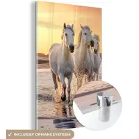 MuchoWow Glasschilderij 80x120 cm - Schilderij acrylglas - Paarden - Zon - Zee - Strand - Dieren - Foto op glas - Schilderijen