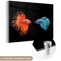 MuchoWow Glasschilderij 180x120 cm - Schilderij acrylglas - Vis - Wilde dieren - Zwart - Foto op glas - Schilderijen