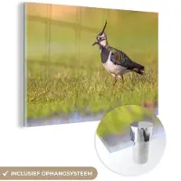 MuchoWow - Glasschilderij - Vogel - Natuur - Gras - Dieren - Acrylglas - Foto op glas - 180x120 cm - Wanddecoratie glas - Glasschilderij vogels - Glasschilderij natuur - Muurdecoratie