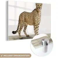 MuchoWow Glasschilderij 120x80 cm - Schilderij acrylglas - Luipaard - Dieren - Witte achtergrond - Kinderen - Jongens - Meisjes - Foto op glas - Schilderijen