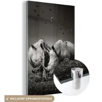 MuchoWow Glasschilderij - Foto op glas - Acrylglas - Dieren - Vogels - Neushoorn - Gras - Natuur - 120x180 cm - Glasschilderij dieren - Schilderij glas - Kamer decoratie - Wanddecoratie glas