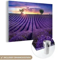 MuchoWow - Glasschilderij - Bloemen - Zonsondergang - Lavendel - Landschap - Bomen - Foto op glas - Acrylglas - 120x80 cm - Wanddecoratie glas - Glasschilderij bloemen - Schilderij paars