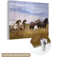 MuchoWow Glasschilderij 160x120 cm - Schilderij acrylglas - Paarden - Gras - Bergen - Foto op glas - Schilderijen