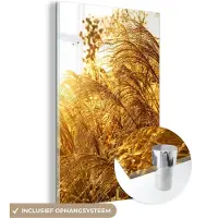 MuchoWow Glasschilderij 20x30 cm - Schilderij acrylglas - Pampasgras - Zon - Gras - Foto op glas - Schilderijen