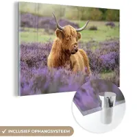 MuchoWow Glasschilderij 60x40 cm - Schilderij acrylglas - Schotse Hooglander - Bruin - Struiken - Foto op glas - Schilderijen