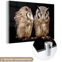 MuchoWow Glasschilderij 90x60 cm - Schilderij acrylglas - Uil - Vogel - Zwart - Foto op glas - Schilderijen