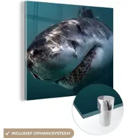 MuchoWow Glasschilderij 50x50 cm - Schilderij acrylglas - Haai - Wit - Water - Foto op glas - Schilderijen
