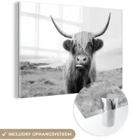 MuchoWow Glasschilderij - Foto op glas - Acrylglas - Dieren - Schotse hooglander - Koe - Gras - Natuur - Wanddecoratie - 90x60 cm - Schilderij glas - Glasschilderij Schotse hooglander - Muurdecoratie