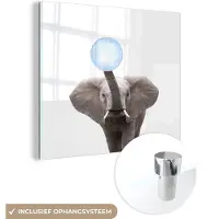 MuchoWow Glasschilderij 50x50 cm - Schilderij acrylglas - Wilde dieren - Olifant - Kauwgom - Blauw - Jongen - Kinderen - Foto op glas - Schilderijen