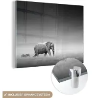 MuchoWow Glasschilderij - Foto op glas - Wilde dieren - Olifant - Zebra - Gras - Natuur - Acrylglas - 40x30 cm - Glasschilderij zebra - Glasschilderij zwart wit - Schilderij glas - Kamerdecoratie