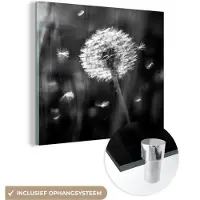 MuchoWow Glasschilderij 20x20 cm - Schilderij acrylglas - Paardenbloem - Zwart - Wit - Plant - Foto op glas - Schilderijen