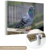 MuchoWow Glasschilderij - Vogel - Duif - Veren - Acrylglas - Foto op glas - Slaapkamer - 180x120 cm - Glasschilderij natuur - Glasschilderij vogels - Muurdecoratie - Wanddecoratie dieren