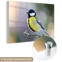 MuchoWow Glasschilderij - Koolmees - Vogel - Tak - Mos - Acrylglas - Foto op glas - 120x80 cm - Muurdecoratie glas - Glasschilderij vogels - Glasschilderij dieren - Woondecoratie - Slaapkamer