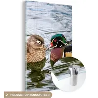 MuchoWow - Glasschilderij - Foto op glas - Acrylglas - Eend - Vogels - Water - Veren - 20x30 cm - Schilderij glas - Glasschilderij vogels - Glasschilderij dieren - Slaapkamer
