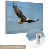 MuchoWow Glasschilderij - Foto op glas - Vogel - Arend - Roofvogels - Blauw - Muurdecoratie - 180x120 cm - Acrylglas - Glasschilderij vogels - Schilderij glas - Glasschilderij dieren - Kamer decoratie
