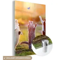 MuchoWow Glasschilderij - Foto op glas - Katten - Kat - Vlinder - Zonsondergang - Natuur - 90x120 cm - Acrylglas - Glasschilderij natuur - Schilderij glas - Muurdecoratie