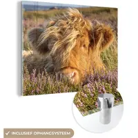 MuchoWow Glasschilderij 160x120 cm - Schilderij acrylglas - Schotse Hooglander - Heide - Gras - Dieren - Foto op glas - Schilderijen