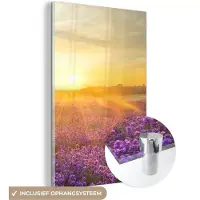 MuchoWow Glasschilderij - Bloemen - Zon - Lavendel - Bomen - Landschap - Foto op glas - Acrylglas - 100x150 cm - Glasschilderij natuur - Wanddecoratie glas - Schilderij paars - Kamer decoratie