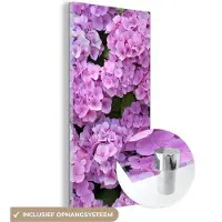 MuchoWow - Glasschilderij - Foto op glas - Hortensia - Bloemen - Roze - Planten - Natuur - Acrylglas - Muurdecoratie - 80x160 cm - Schilderij bloemen - Wanddecoratie