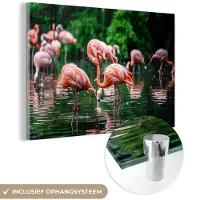 MuchoWow - Glasschilderij - Foto op glas - Acrylglas - Vogel - Water - Flamingo - Tropical - Dieren - Wanddecoratie - 120x80 cm - Muurdecoratie - Schilderij glas - Glasschilderij dieren