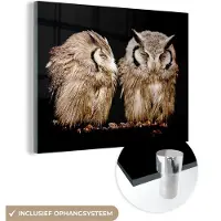 MuchoWow Glasschilderij 160x120 cm - Schilderij acrylglas - Uil - Vogel - Zwart - Foto op glas - Schilderijen