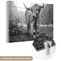 MuchoWow Glasschilderij 150x100 cm - Schilderij acrylglas - Schotse hooglander - Natuur - Herfst - Dieren - Wild - Bos - Foto op glas - Schilderijen