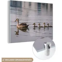 MuchoWow - Glasschilderij - Foto op glas - Eend - Water - Vogel - Acrylglas - 80x60 cm - Wanddecoratie - Glasschilderij vogels - Glasschilderij natuur - Slaapkamer