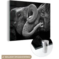 MuchoWow Glasschilderij 40x30 cm - Schilderij acrylglas - Olifant - Dier - Slurf - Foto op glas - Schilderijen
