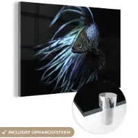 MuchoWow Glasschilderij 180x120 cm - Schilderij acrylglas - Vis - Zeedieren - Blauw - Zwart - Foto op glas - Schilderijen