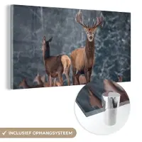 MuchoWow - Glasschilderij - Herten - Landschap - Dieren - Winter - Sneeuw - Acrylglas - Schilderij op glas - 40x20 cm - Glas schilderij - Wanddecoratie - Schilderijen woonkamer