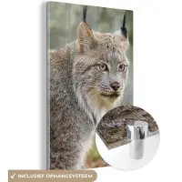 MuchoWow Glasschilderij 100x150 cm - Schilderij acrylglas - Lynx - Bos - Grijs - Foto op glas - Schilderijen