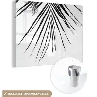 MuchoWow Glasschilderij 160x120 cm - Schilderij acrylglas - Palm - Zomer - Bladeren - Tropical - Foto op glas - Schilderijen
