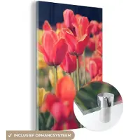 MuchoWow Glasschilderij 40x60 cm - Schilderij acrylglas - Tulpen - Bloemen - Natuur - Foto op glas - Schilderijen