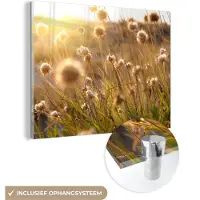 MuchoWow Glasschilderij 40x30 cm - Schilderij acrylglas - Planten - Natuur - Bloemen - Zon - Horizon - Foto op glas - Schilderijen