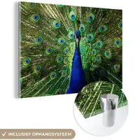 MuchoWow Glasschilderij 60x40 cm - Schilderij acrylglas - Pauw - Veren - Ogen - Blauw - Foto op glas - Schilderijen