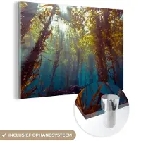 MuchoWow Glasschilderij 30x20 cm - Schilderij acrylglas - Zonlicht en planten onder water - Foto op glas - Schilderijen