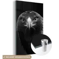 MuchoWow Glasschilderij - Foto op glas - Acrylglas - Dieren - Buizerd - Vogel - Zwart - Wit - Muurdecoratie - Woondecoratie - 120x180 cm - Decoratie woonkamer