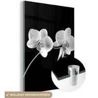 MuchoWow Glasschilderij 60x80 cm - Schilderij acrylglas - Orchidee - Bloemen - Zwart - Roze - Knoppen - Foto op glas - Schilderijen