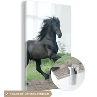 MuchoWow Glasschilderij 40x60 cm - Schilderij acrylglas - Paard - Zwart - Natuur - Foto op glas - Schilderijen