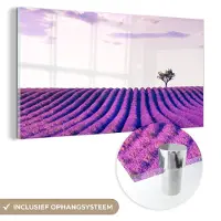 MuchoWow - Glasschilderij - Foto op glas - Acrylglas - Lavendel - Boom - Lucht - Paars - Bloemen - 120x60 cm - Glasschilderij bloemen - Schilderij paars - Muurdecoratie
