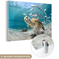 MuchoWow Glasschilderij 90x60 cm - Schilderij acrylglas - Schildpad - Vis - Zee - Foto op glas - Muurdecoratie woonkamer - Wanddecoratie slaapkamer - Schilderijen