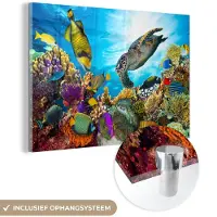 MuchoWow Glasschilderij 30x20 cm - Schilderij acrylglas - Schildpad - Zee - Koraal - Foto op glas - Muurdecoratie woonkamer - Wanddecoratie slaapkamer - Schilderijen