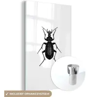 MuchoWow Glasschilderij 40x60 cm - Schilderij acrylglas - Zwart wit - Kever - Vintage - Insecten - Foto op glas - Schilderijen