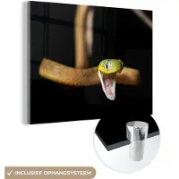 MuchoWow Glasschilderij 80x60 cm - Schilderij acrylglas - Slang - Dier - Zwart - Foto op glas - Schilderijen