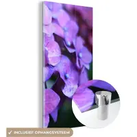 MuchoWow Glasschilderij - Foto op glas - Hortensia - Bloemen - Natuur - Paars - 40x80 cm - Acrylglas - Wanddecoratie glas - Muurdecoratie - Schilderij bloemen