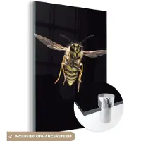 MuchoWow Glasschilderij 60x80 cm - Schilderij acrylglas - Wesp - Insecten - Portret - Foto op glas - Schilderijen