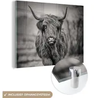 MuchoWow Glasschilderij 160x120 cm - Schilderij acrylglas - Schotse Hooglander - Zwart - Wit - Foto op glas - Schilderijen