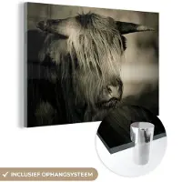MuchoWow Glasschilderij 30x20 cm - Schilderij acrylglas - Schotse Hooglander - Dieren - Haar - Foto op glas - Schilderijen