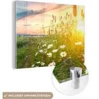 MuchoWow Glasschilderij 40x30 cm - Schilderij acrylglas - Bloemen - Madelief - Natuur - Zon - Horizon - Foto op glas - Schilderijen